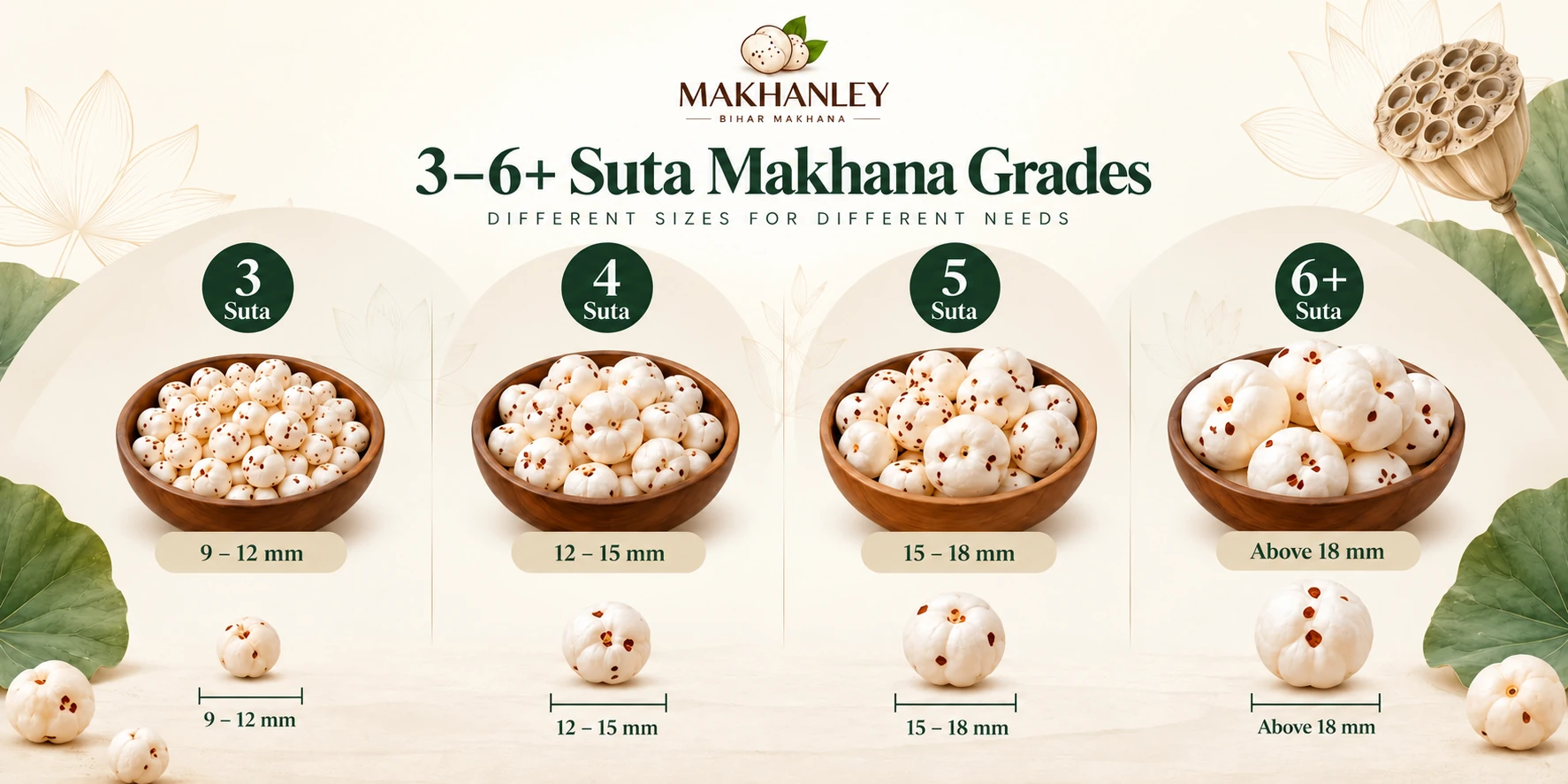 Makhana Suta size guide comparing 3, 4, 5 and 6+ grades