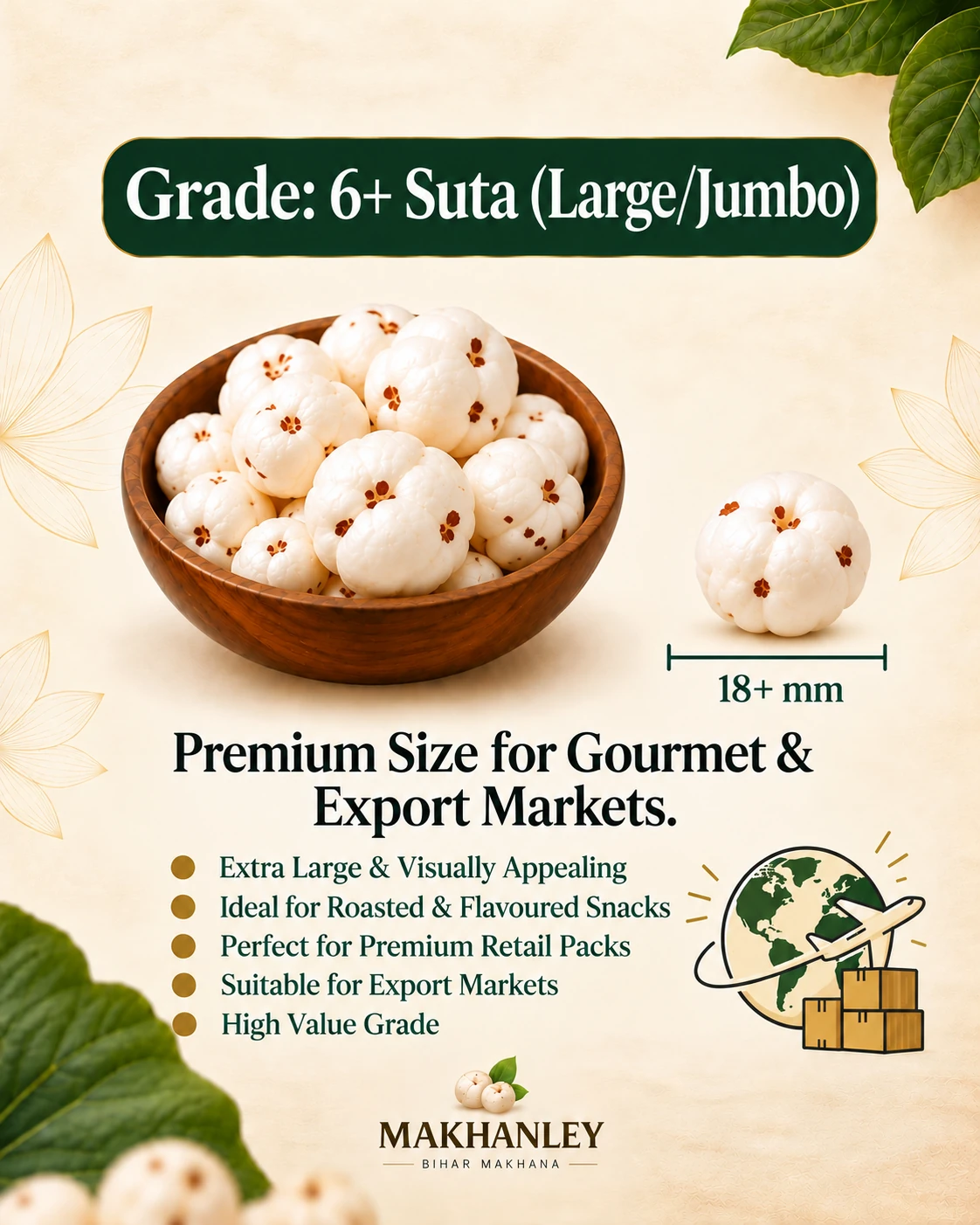 Makhanley 6+ Suta Large/Jumbo makhana grade poster showing 18+ mm kernels for gourmet and export markets